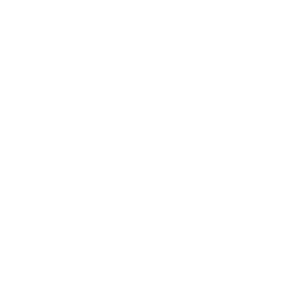 Pro A Construction